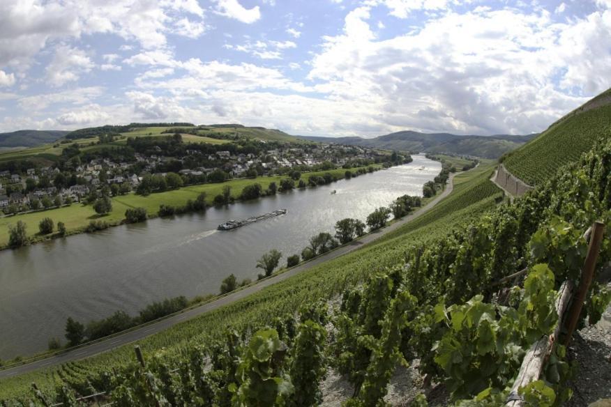 Weingut Fehres Appartement Brauneberg Buitenkant foto